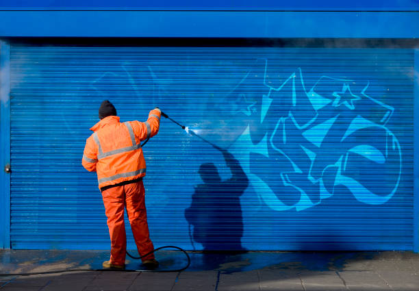 Best Local Pressure Washing Services  in Lely Resort, FL