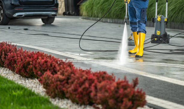 Best Roof Power Washing Services  in Lely Resort, FL