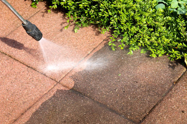 Best Power Washing Near Me  in Lely Resort, FL